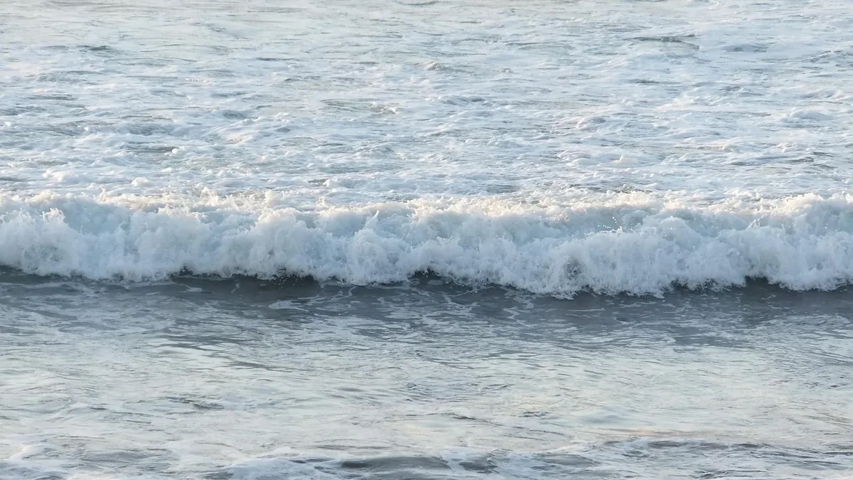 A wave cresting in the ocean.